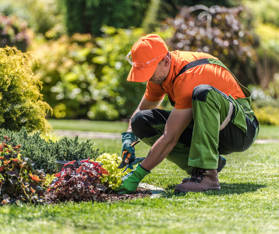 Person working in garden